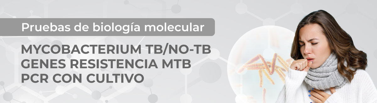 MYCOBACTERIUM 